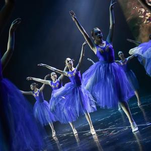 Балетная студия Todes - студия Todes